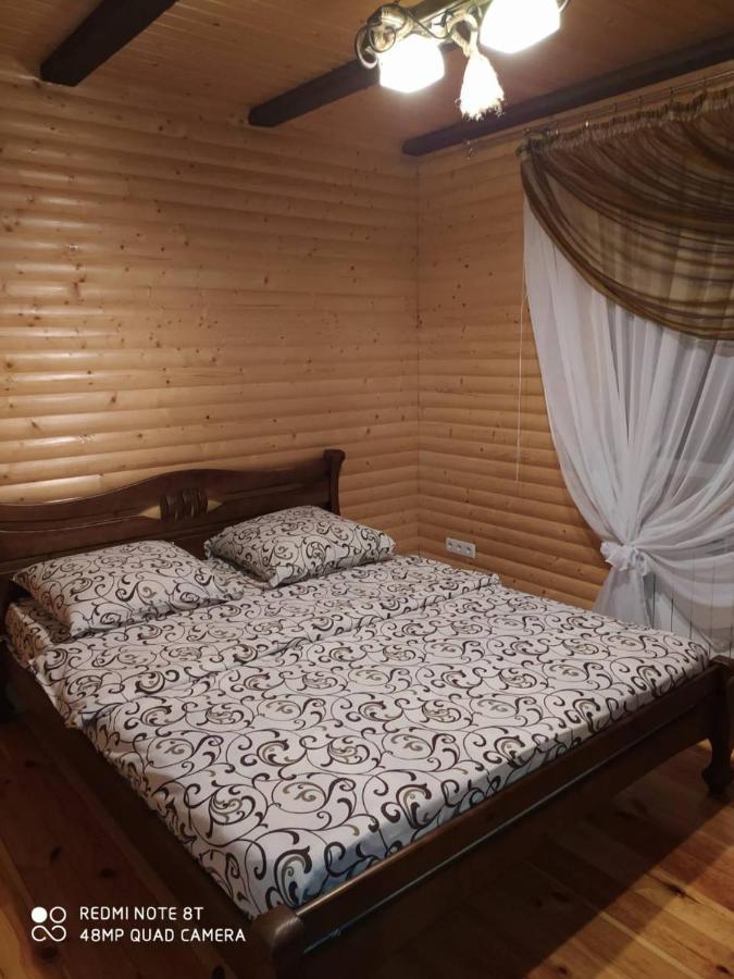 Карпатські Зорі Villa Pilipets Exteriör bild