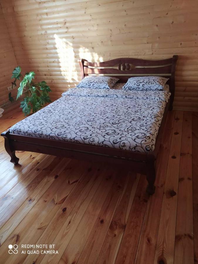 Карпатські Зорі Villa Pilipets Exteriör bild